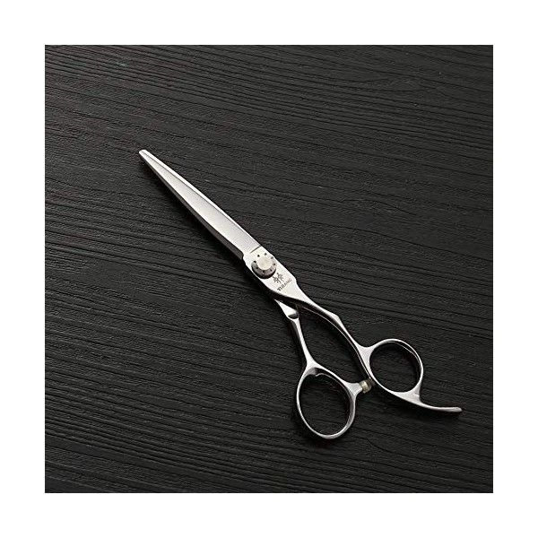 Outils de coupe des cheveux Cisaillement plat de nouveau style de 440C, outil professionnel de coiffure dacier inoxydable de