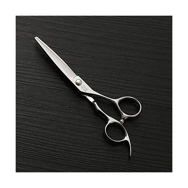 Outils de coupe des cheveux Cisaillement plat de nouveau style de 440C, outil professionnel de coiffure dacier inoxydable de