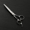 Outils de coupe des cheveux Cisaillement plat de nouveau style de 440C, outil professionnel de coiffure dacier inoxydable de