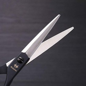 Outils de coupe des cheveux 5,5 pouces coiffeur professionnel coiffure double queue ongles noir ciseaux, ciseaux en acier ino...