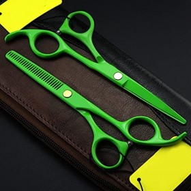 Ciseaux de coupe de cheveux, ciseaux à cheveux, ciseaux de barbier, ciseaux de coiffure, outils de coiffure couleur : Vert R...