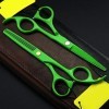 Ciseaux de coupe de cheveux, ciseaux à cheveux, ciseaux de barbier, ciseaux de coiffure, outils de coiffure couleur : Vert 