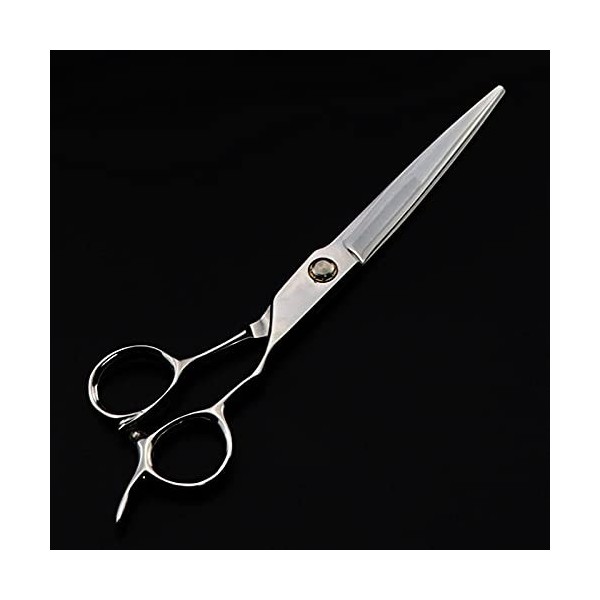 Ciseaux de coupe de cheveux, professionnels 440c 9cr13 en acier 6 , ciseaux à cheveux, outils de coupe de cheveux, ciseaux 