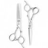 6,0 Pouces Ciseaux Coiffeur Professionnel Set Ciseaux Cheveux Coiffure Salon De Coiffure Ciseaux À Effiler Plat Dents Ciseaux