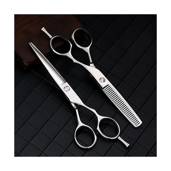 Ciseaux de coiffeur coupe de cheveux, 6 pouces 440c acier argent ciseaux à cheveux coupe outils de barbier coupe de cheveux c