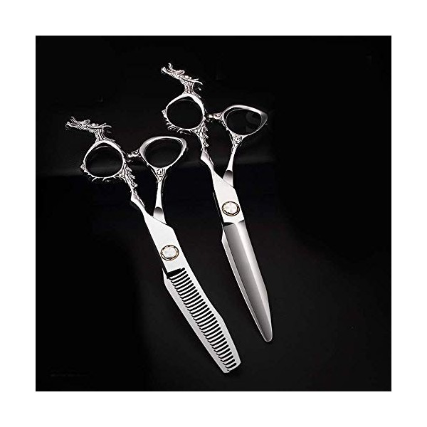 Ciseaux de coupe de cheveux, cisailles à cheveux professionnelles440C Ciseaux de coiffure pour coiffeurs, ciseaux plats de 6 