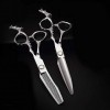 Ciseaux de coupe de cheveux, cisailles à cheveux professionnelles440C Ciseaux de coiffure pour coiffeurs, ciseaux plats de 6 