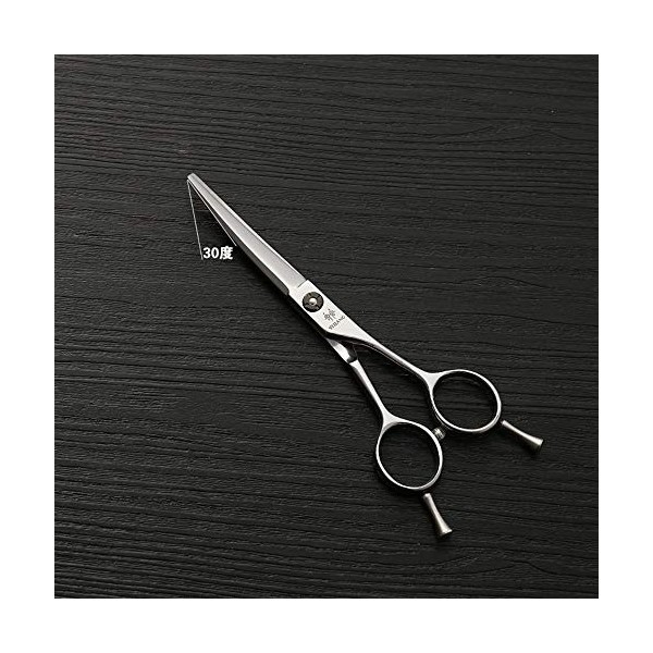 Outils de coupe des cheveux Tondeuse à cheveux en acier inoxydable 440C, outil de coiffure argenté de qualité supérieure for 