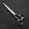 Outils de coupe des cheveux Ciseaux de coiffure professionnels haut de gamme, 6 pouces pour femme Color : Silver 