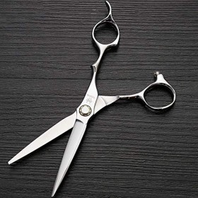 Outils de coupe des cheveux Ciseaux de coiffure professionnels haut de gamme, 6 pouces pour femme Color : Silver Rasage et É...