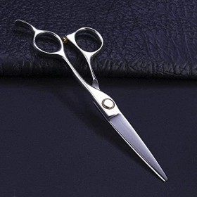 Ciseaux de barbier Ciseaux de coiffure professionnels Argent Ciseaux à feuilles de saule de 6 pouces Ciseaux à graisse simple...