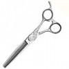 HAOTING Ciseaux Amincissants 15,2 cm Ciseaux de Coiffure, Outils de Coupe de Cheveux Professionnels Ciseaux Barber Set + Boît