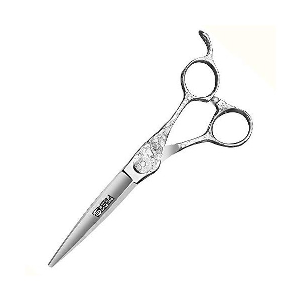 HAOTING Ciseaux Amincissants 15,2 cm Ciseaux de Coiffure, Outils de Coupe de Cheveux Professionnels Ciseaux Barber Set + Boît