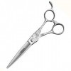 HAOTING Ciseaux Amincissants 15,2 cm Ciseaux de Coiffure, Outils de Coupe de Cheveux Professionnels Ciseaux Barber Set + Boît