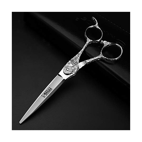 HAOTING Ciseaux Amincissants 15,2 cm Ciseaux de Coiffure, Outils de Coupe de Cheveux Professionnels Ciseaux Barber Set + Boît