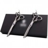 Ciseaux de coiffeur 6 pouces Ensemble de ciseaux de coiffure Bangs Cut Flat + Tooth Scissor Haircut Set-Argent