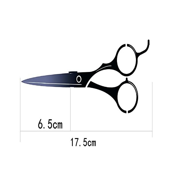 SENFEISM Ciseaux de coiffeur professionnels de 15,2 cm - Design fin - Ciseaux de barbier