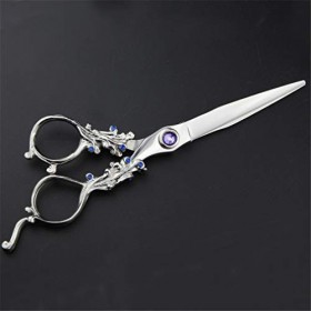 Professional 6.0 pouces Salon de coiffure haut de gamme Ciseaux de coiffure Ciseaux de coiffure Set rhéofluidifiant salon de 