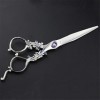 Professional 6.0 pouces Salon de coiffure haut de gamme Ciseaux de coiffure Ciseaux de coiffure Set rhéofluidifiant salon de 