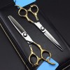 Ciseaux professionnels 440c Golden Handle Hairdressinghaircutting pour barbier ou usage domestique Couleur: Cutting no Bag 