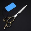 Ciseaux professionnels 440c Golden Handle Hairdressinghaircutting pour barbier ou usage domestique Couleur: Cutting no Bag 