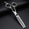 HAOTING Ciseaux Amincissants 15,2 cm Argent Ciseaux de Coiffure Ensemble de Ciseaux de Coiffure Professionnels avec boîte à C