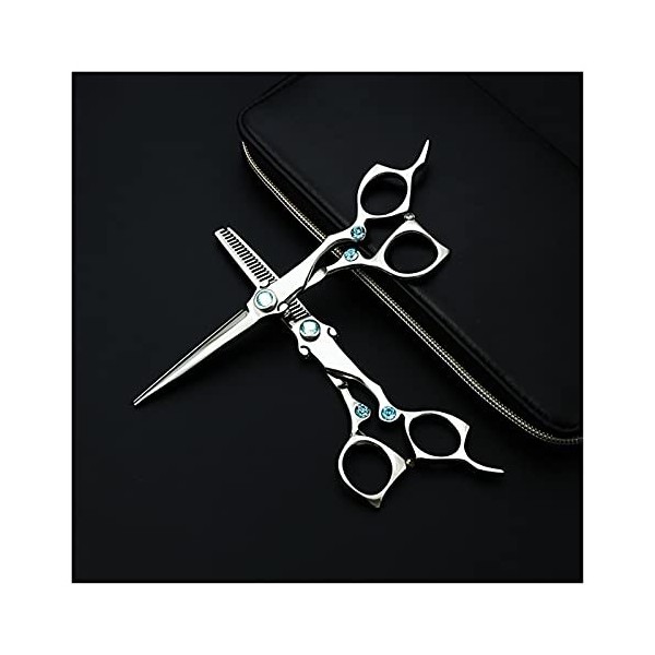 Ensemble de ciseaux à cheveux de type série Sword, ciseaux de salon de coiffure pour coiffeurs professionnels couleur: aminc