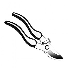 Ciseaux artisanaux en acier inoxydable 304, outils de jardin, taille des arbres fruitiers, taille des fleurs florales