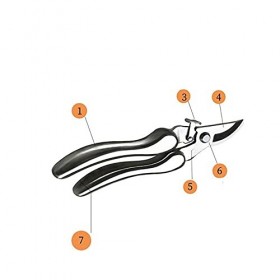 Ciseaux artisanaux en acier inoxydable 304, outils de jardin, taille des arbres fruitiers, taille des fleurs florales