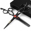 HAOTING Ciseaux de Coiffeur Noir 6 Pouces 440C Japon Ciseaux en Acier Haute dureté Coiffure Coupe de Cheveux Outils de Coiffu