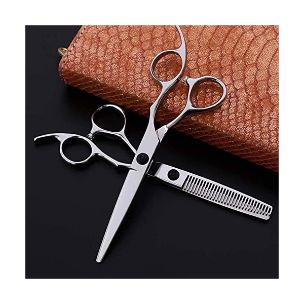 Ciseaux de coiffure Ensemble de ciseaux de coiffeur professionnel de 6,0 pouces avec ciseaux de barbier pointus, ciseaux amin