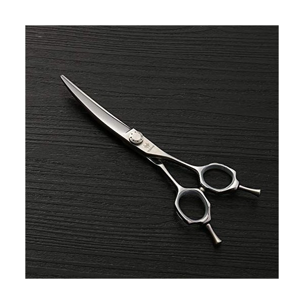 Outils de coupe des cheveux Ciseaux de coiffure de lacier inoxydable 440C, 6,0 ciseaux de coupe de cheveux de mode, tendance