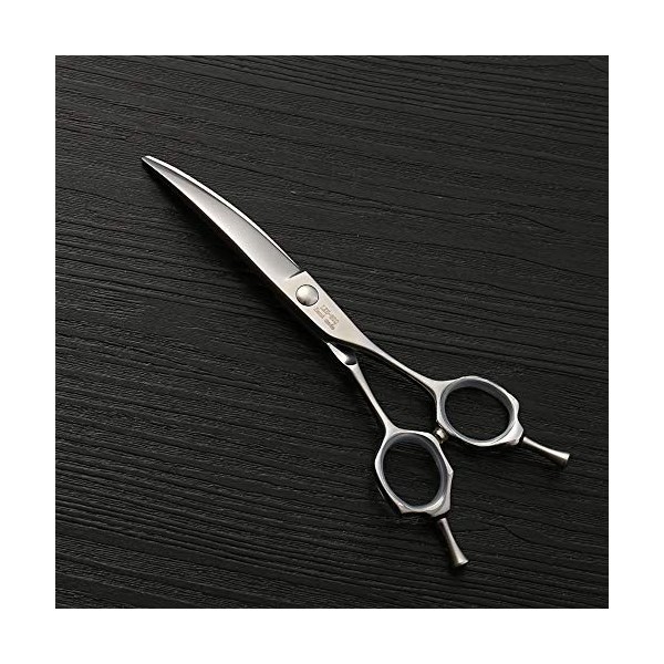 Outils de coupe des cheveux Ciseaux de coiffure de lacier inoxydable 440C, 6,0 ciseaux de coupe de cheveux de mode, tendance