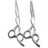 Ciseaux de coiffure professionnels, couleur argent, 15.2 Cm, motif exquis, pour Salon de coiffure ou usage domestique