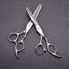 Ciseaux de coiffure professionnels, couleur argent, 15.2 Cm, motif exquis, pour Salon de coiffure ou usage domestique