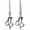 Ciseaux de coiffeur professionnel de 6,0 pouces argent haute dureté 400c ciseaux de coiffure en acier inoxydable outils spéci