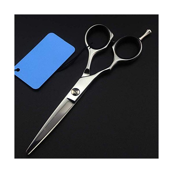 Ciseaux de Coiffure pour gaucher Ciseaux de Coiffeur Ensemble doutils de Coupe de Cheveux Professionnels, Ensemble de Ciseau