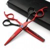 HAOTING Ciseaux de Coiffeur Japon Ciseaux de Coiffure Professionnels Coupe de Coiffeur gaucher Noir + Rouge 2pcs 