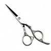 Outils de coupe des cheveux Ciseaux de coiffure professionnel de coiffeur professionnel de coiffeur de 6 pouces, poignée rose