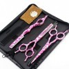 ciseaux de coiffeur Ciseaux de Coupe de Cheveux, 5.5 pouces Professionnel Japon 440c acier 4 pcs Rose Céramique ciseaux de ch