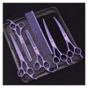 CADENABEAR Ciseaux de Coiffure Kit de caissons de Ciseaux de beauté kit de Coiffure à Cheveux Cisaillement pour la Coupe des 