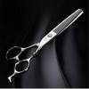 Chaomeiart 6.0 Pouces Coiffeurs Coiffure Barber Scissor Set Professionnel 440C de Combinaison de Dents Plates Dilution Ciseau