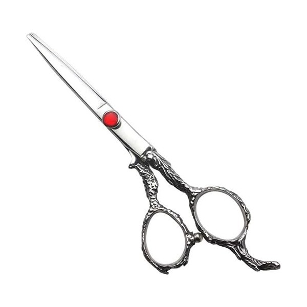 Ciseaux de coiffeur 6.0 pouces, ensemble de ciseaux de coiffure, outils de coupe de cheveux familiaux