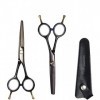 Ciseaux de coiffeur professionnels 6 pouces 6cr, ciseaux de coupe de cheveux, ciseaux de Salon de coiffure, ciseaux amincissa