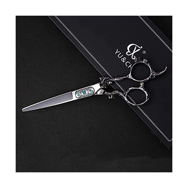 Ciseaux de coiffeur professionnels de 6,0 pouces, argent, haute dureté, ciseaux de coiffure en acier inoxydable 400c, outils 