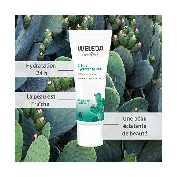 Weleda - Crème Hydratante 24 h au Figuier de Barbarie - Peaux Normales à Sèches - Tube 30 ml Crème Jour et Nuit