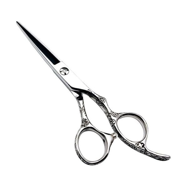 Générique 6.0 Pouces Coiffeur Professionnel Ensemble De Coiffure Ciseaux De Coiffure Rose Poignée 440C-Argent