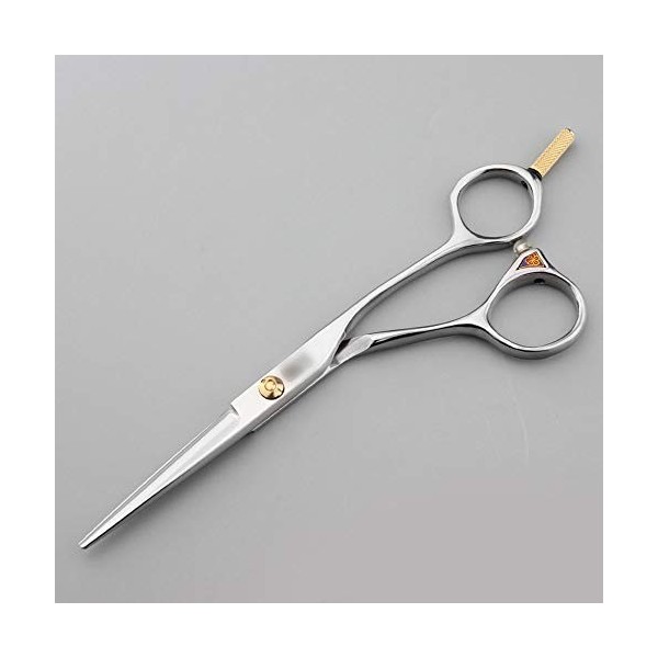 Ciseaux plats professionnels pour coiffeur de 14 cm + ensemble doutils de ciseaux à dents, résistants à la corrosion, résist