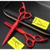 Ensemble doutils professionnels de salon de coiffure de ciseaux de coupe de cheveux de 5,5 pouces adaptés aux débutants/coup