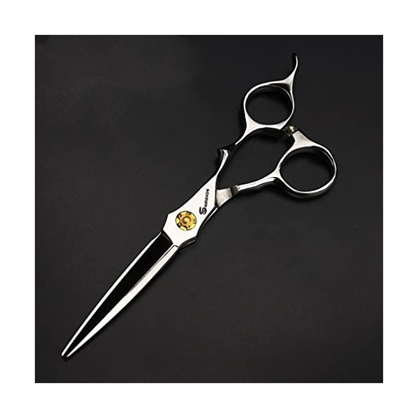 KOAIEZ 6,0 Pouces 440C Professionnel Argent Ciseaux De Coupe De Cheveux, Cisaillements De Coiffure De Coiffeur Salon Cisea